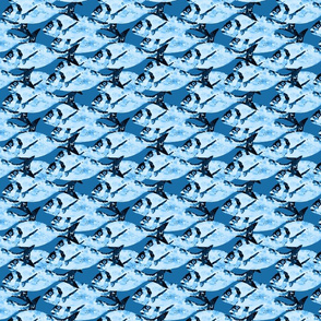Blue  Fish on Blue