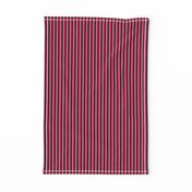 Stripes Vertical Pink and Black