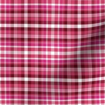 LSC - Strawberries  and Cream Plaid