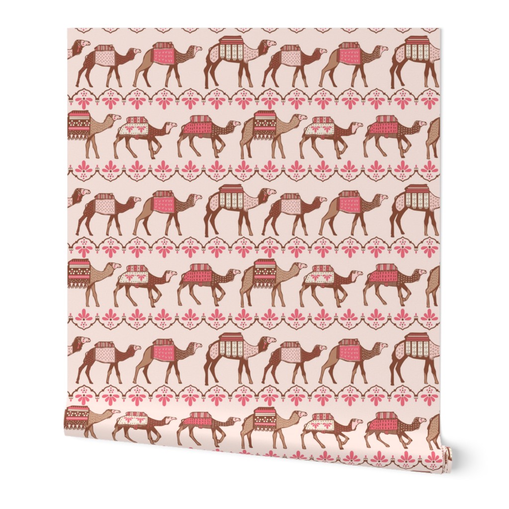 Marrakesh camels in a line pink and brown