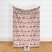 Marrakesh camels in a line pink and brown