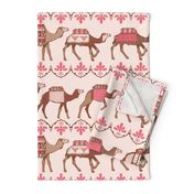 Marrakesh camels in a line pink and brown