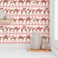 Marrakesh camels in a line pink and brown