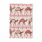 Marrakesh camels in a line pink and brown