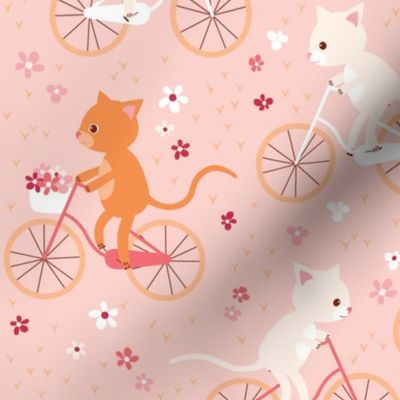 cycling cats