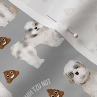 shih tzu poop 3