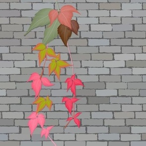 Brick wall with climbing plant on it