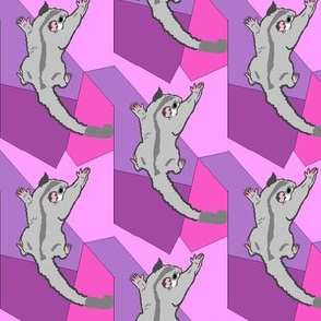 Platinum Sugar Glider on Purple Shapes