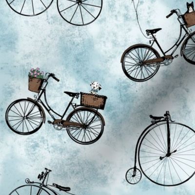 Vintage Bicycles