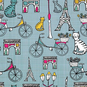cycling in Paris