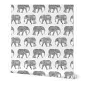 baby elephants - grey