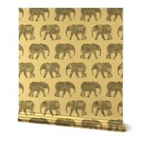 baby elephants - grey