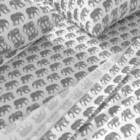 baby elephants - grey