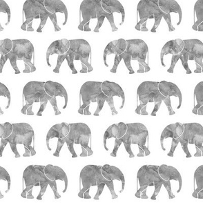 baby elephants - grey