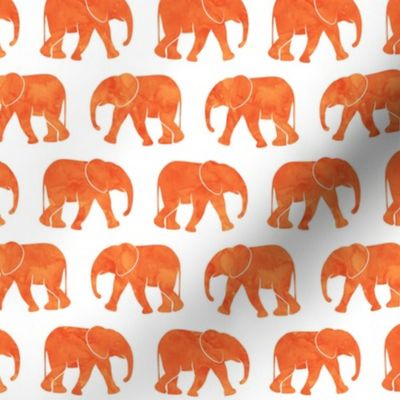 baby elephants - orange