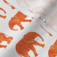 baby elephants - orange