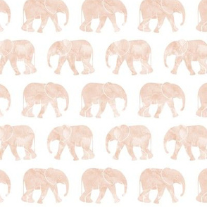 baby elephants - blush