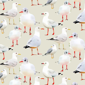 Flock of Seagulls Watercolor