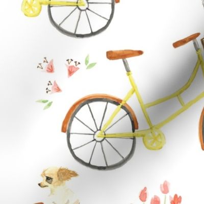 Puppies and bikes