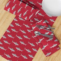 shark ocean animals sharks red