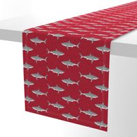 shark ocean animals sharks red