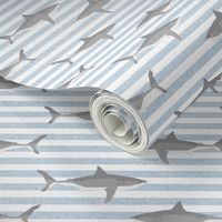 shark stripes ocean animals sharks blue