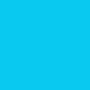 Solid Blue, Hex code 09c9f0