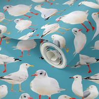 Seagulls on Aqua Blue