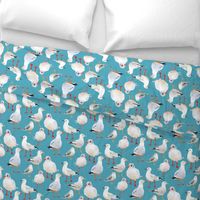 Seagulls on Aqua Blue