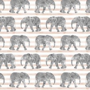 baby elephants - blush stripes