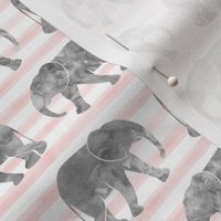 baby elephants - pink stripes