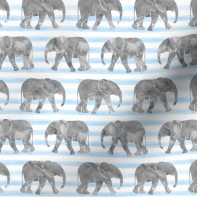 baby elephants - blue stripes