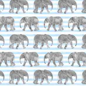 baby elephants - blue stripes