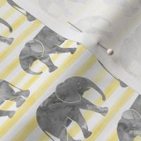 baby elephants - yellow stripes