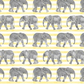 baby elephants - yellow stripes