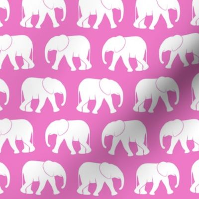 baby elephants - pink