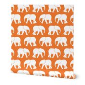 baby elephants - orange