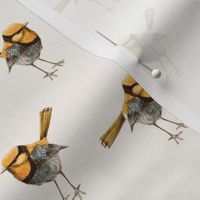 Golden Wrens on Ivory, Larger