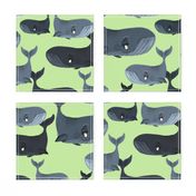 Calm Blue Whales - Larger Scale on Light Green