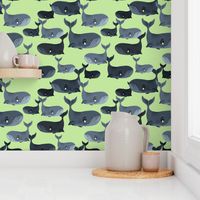 Calm Blue Whales - Larger Scale on Light Green