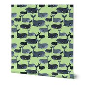 Calm Blue Whales - Larger Scale on Light Green