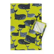 Calm Blue Whales - Larger Scale on Yellow Green