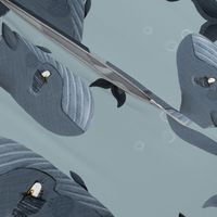 Calm Blue Whales - Larger Scale on Grey Blue