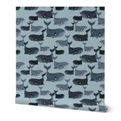 Calm Blue Whales - Larger Scale on Grey Blue