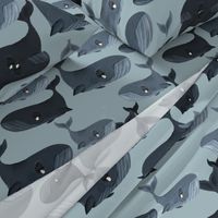 Calm Blue Whales - Larger Scale on Grey Blue