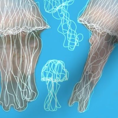 Jellyfish