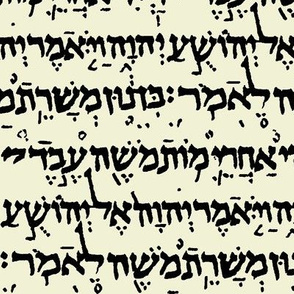 Hebrew on Parchment // Small