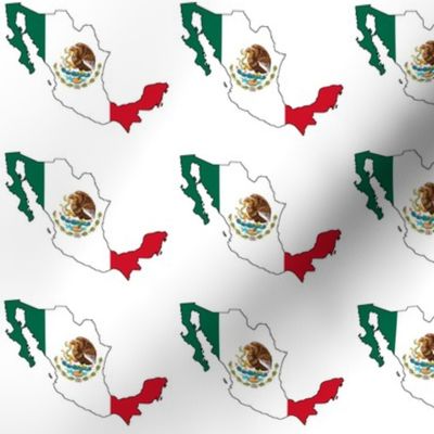 Mexican Flag Overlay // Small