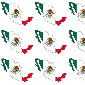 Mexican Flag Overlay // Small