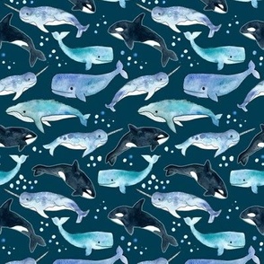 Whales, Orcas & Narwhals on Navy